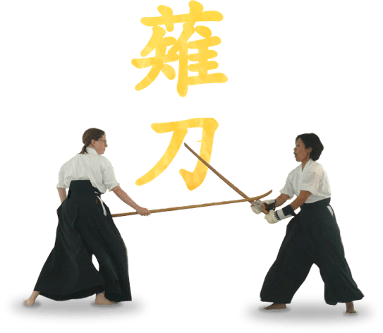 Kogetsukai – Chicago Iaido, Jodo, Naginata, Kenjutsu Naginata