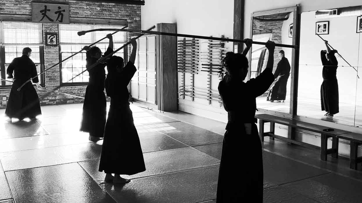 Sunday Jodo, Iaido/Kenjutsu, Naginata